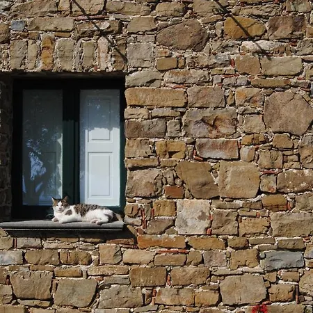 Country house Casale Santa Rosalia Charme And *